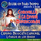 CORONILLA A LA DIVINA MISERICORDIA DE HOY. DOMINGO 22 DE JUNIO 2025. 🙏 REZAR EN TODO TIEMPO.       