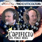 EP.12 - L'OPIFICIO DEL PINOT NERO e i suoi VINI raccontati da MARCO BUVOLI