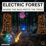 Electric Forest - The Enchanted Woods of Sherwood Forest