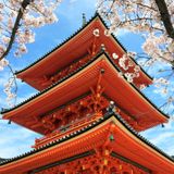 Japonya 2. Bölüm: Kyoto Tapınakları, Zen Bahçeleri, Wabi-Sabi kavramı, Ryokan ve Kaiseki Deneyimi