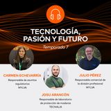 Termitas, carcoma y hongos: la lucha contra los devoradores de madera