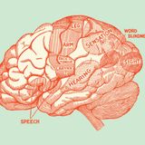 El_poder_oculto_de_las_palabras_Denotación_y_Connotación