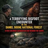 Something Is Living in the Daniel Boone National Forest | A Kentucky Sasquatch Encounter