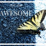 009 - You Are Awesome.  Can You Count the Ways?