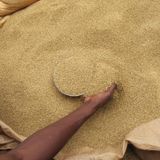Zakat al-Fitr, Radio Scout de Niamey et transformation du soja (Le Niger sur Kalangou)