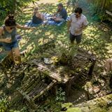 Austin Turns Fancy Furniture Into Funky Moss Gardens