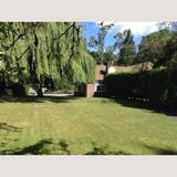 Is Crown Lifting the Right Solution for Low Hanging Branches?