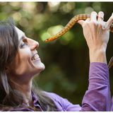The secret powers of snakes
