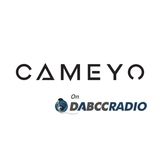 Cameyo Digital Workspace - Simply & Securely Deliver Windows from the Browser - Podcast Episode 339