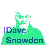 Dave Snowden: Cynefin Framework
