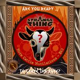 Strange Thing S1: Update on Cattle Mutilations