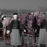 The Sacred Horse That Guides the Dead: Chinese Burial Traditions