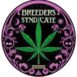 Breeders Syndicate - NYPD Pete Pt3 We Open The Seed Box Black Domina Sweet Tooth Box Dig S07 E06