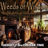 Time Travel_ Crystals & Medbeds with Tony Rodrigues & Dan Willis