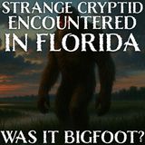 STRANGE FLORIDA CRYPTID CREATURE SEEN IN GUY'S BACK YARD! "IT WAS DIFFERENT THAN A BIGFOOT!"