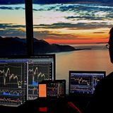 Insights and Investment Basics