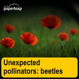 Unexpected pollinators: beetles