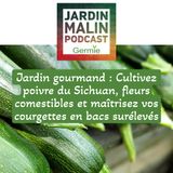 Cultivez poivre du Sichuan, fleurs comestibles et maîtrisez vos courgettes en bacs surélevés