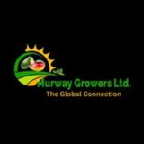 Murway Growers: From Farm to Business with Freshness and Integrity