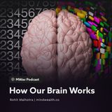 How Our Brain Works