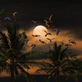 Cómo llegó la noche | Cuentos de Obediencia
