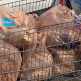 Supermarchés de Niamey : vers une réduction des emballages plastiques( Magazine)