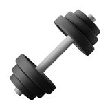 Gym a new form to elevate your body