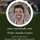 T23_Ep99 | ** Uma conversa e uma caminhada com Pedro Amado Gomes **