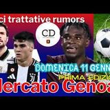 MERCATO GENOA - Edizione di DOMENICA 11 Gennaio: le ultime su CUTRONE ZAPATA GRONBAEK ARRIAGA ADZIC