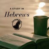 What Is Forgiveness? - Hebrews 9