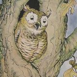 De Uil en de Sprinkhaan | Aesopus Fabels