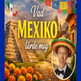 293. Vad MEX lärde mig om värme (feb 2026)