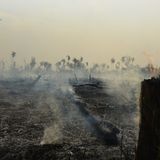 Amazzonia brasiliana, gli incendi aumentano del 42% in un anno