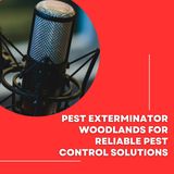 Pest Exterminator Woodlands for Reliable Pest Control Solutions