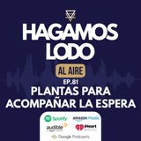 EP81- Plantas para acompañar la espera