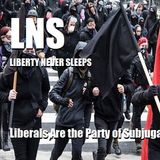 Liberals Are the Party of Subjugation 08/25/20 Vol. 9 #155