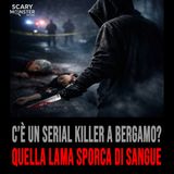 Bergamo: Due Omicidi e l'Inquietante Ombra di un Serial Killer