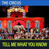 Circuses