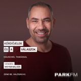 Slágergyártás a képernyőn: Így kerül zene a filmbe | Park FM - Kérdőjelek és a válaszok