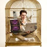 Tu “Ecosistema” Tecnológico es ¿Zona de confort, Jaula de Oro o Perfección?