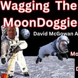 David McGowan Wagging the Moondoggie Audiobook #waggingthemoondoggie #nasa #moonlandinghoax