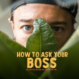 How to ask your boss about working abroad? EP1