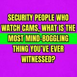 Security People Who Watch Cams, What Is The Most Mind-Boggling Thing You’ve Ever Witnessed?