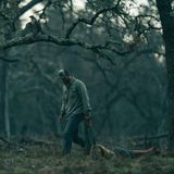 Episode 366