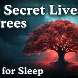 The Secret Lives of Trees _ 100 Facts to Fall Asleep To