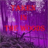 Steph Young talks about Taken in the Woods - August 22, 2015
