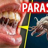 Pesquisadores descobrem nova forma de vida na saliva humana