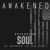 Sovereign Soul: Consent, SOUL Proprietorships, US Citizenship vs. State Citizenship, Sovereignty & Spirituality w/ Brandon Joe Williams