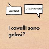 I cavalli sono gelosi? E che fare con un cavallo geloso?