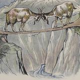 Twee Geiten | Aesopus Fabels